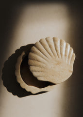 Shell Box - Natural Travertine