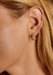 Naïka Earrings - Gold